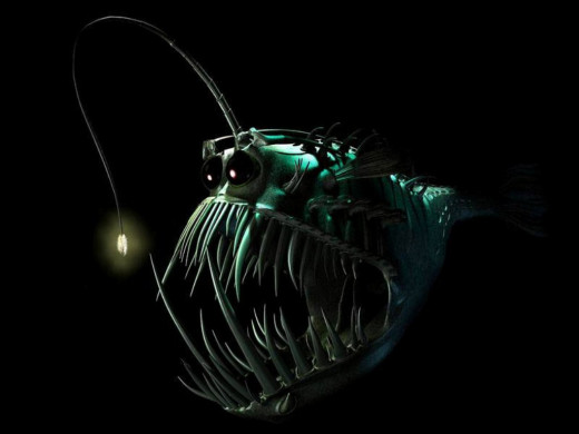6065 (a): :1024x768